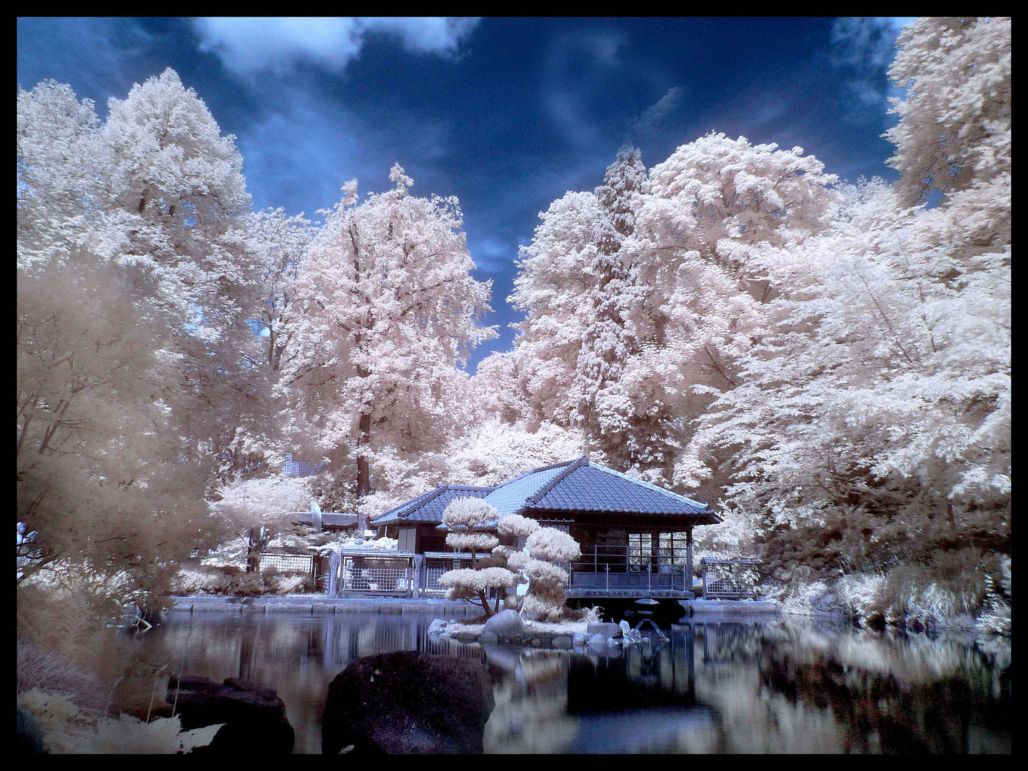 Japanischer Garten Mannheim