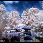 Japanischer Garten Mannheim