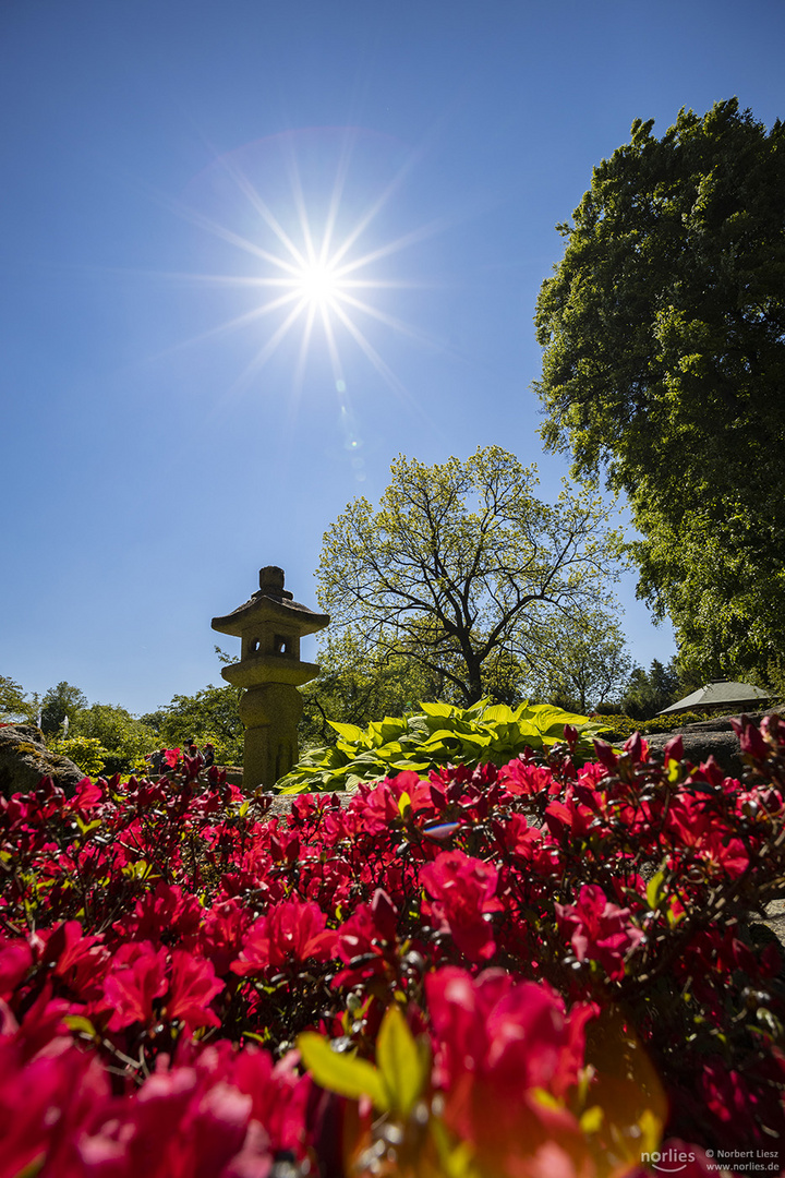 Japanischer Garten mit Sonnenstern