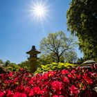 Japanischer Garten mit Sonnenstern