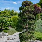 Japanischer Garten mit Zier Zypresse