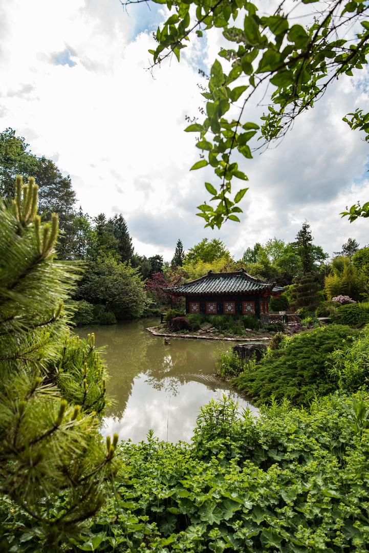 Japanischer Garten Münzesheim