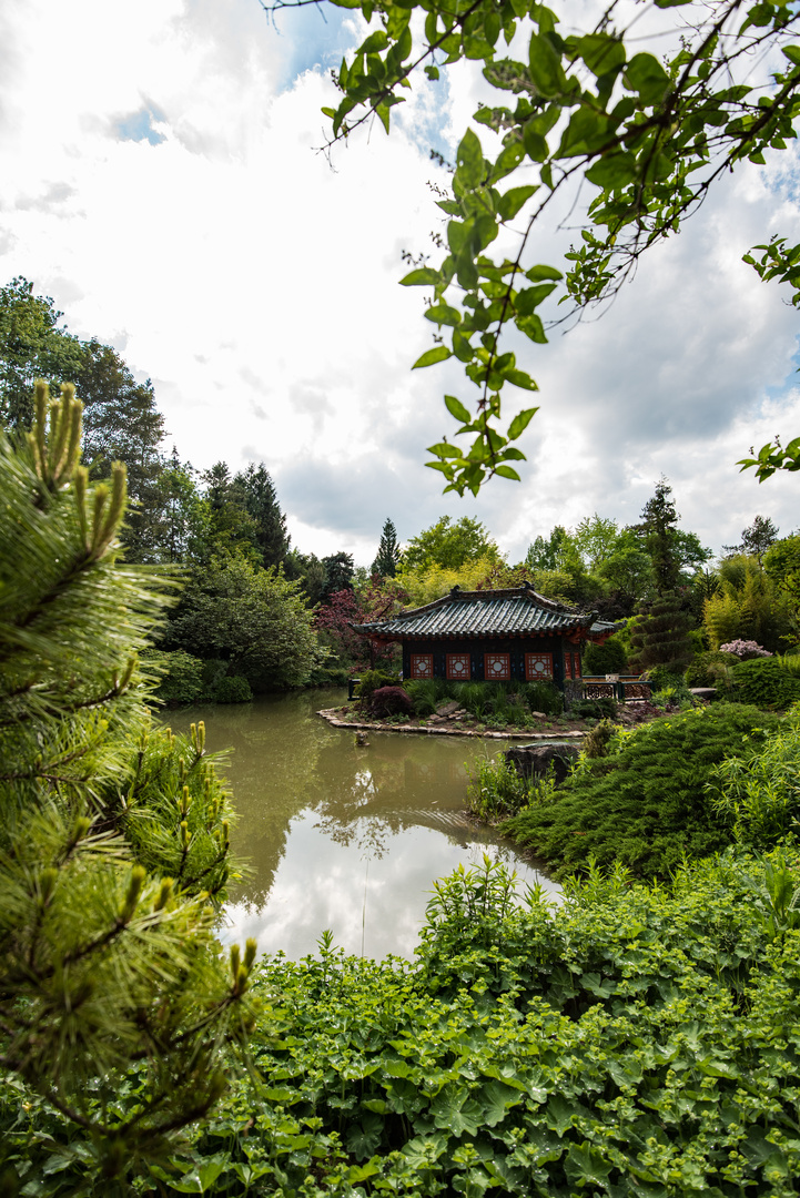 Japanischer Garten Münzesheim japanischer garten m 252 nzesheim foto bild landschaft Japanischer Garten Münzesheim japanischer garten m 252 nzesheim foto bild landschaft