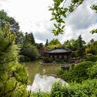 Japanischer Garten Münzesheim