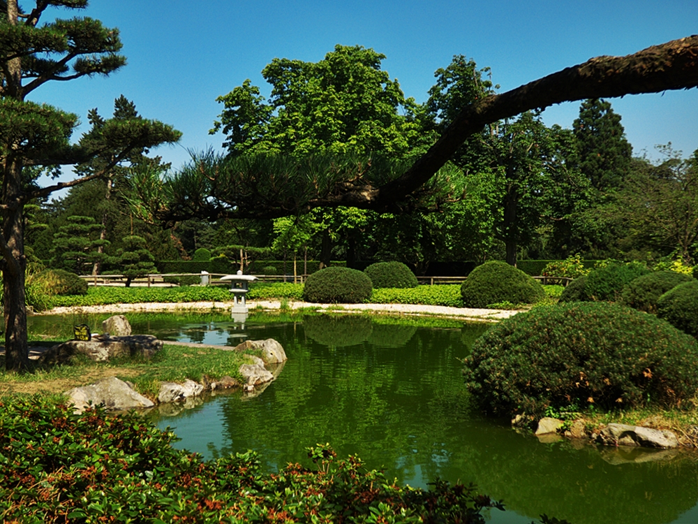 Japanischer Garten - Nordpark Düsseldorf