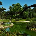 Japanischer Garten - Nordpark Düsseldorf