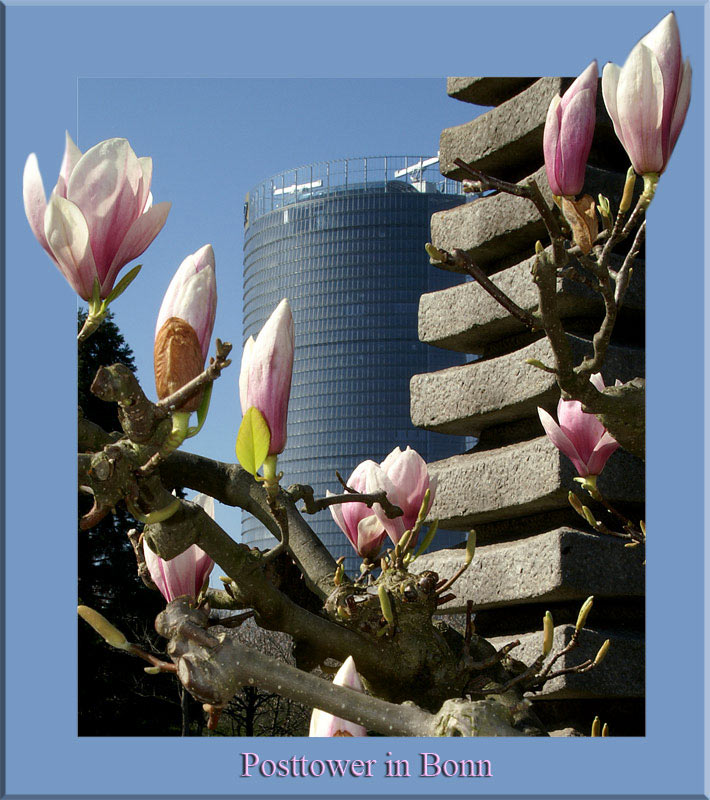 japanischer Garten + Posttower in Bonn