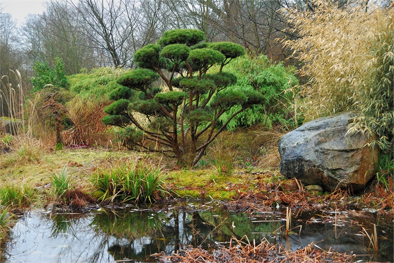 Japanischer Garten Schloss Tremsbüttel