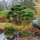 Japanischer Garten Schloss Tremsbüttel