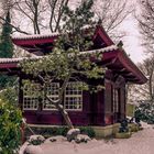 Japanischer Garten - Schnee