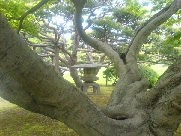 Japanischer Garten, Tokyo