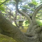 Japanischer Garten, Tokyo