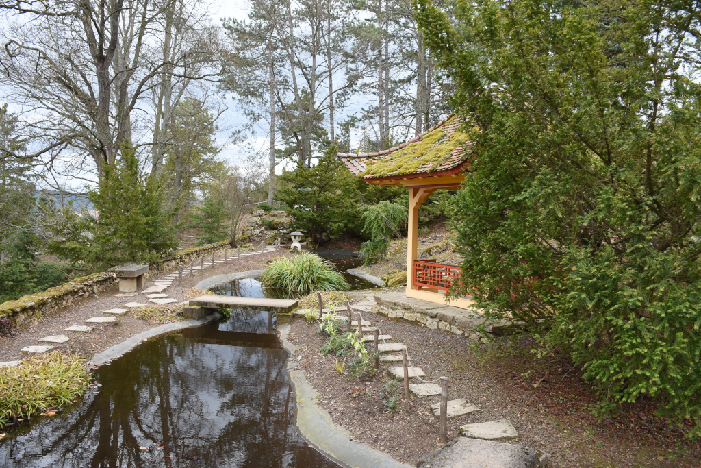 Japanischer Garten - Villa Bergfried