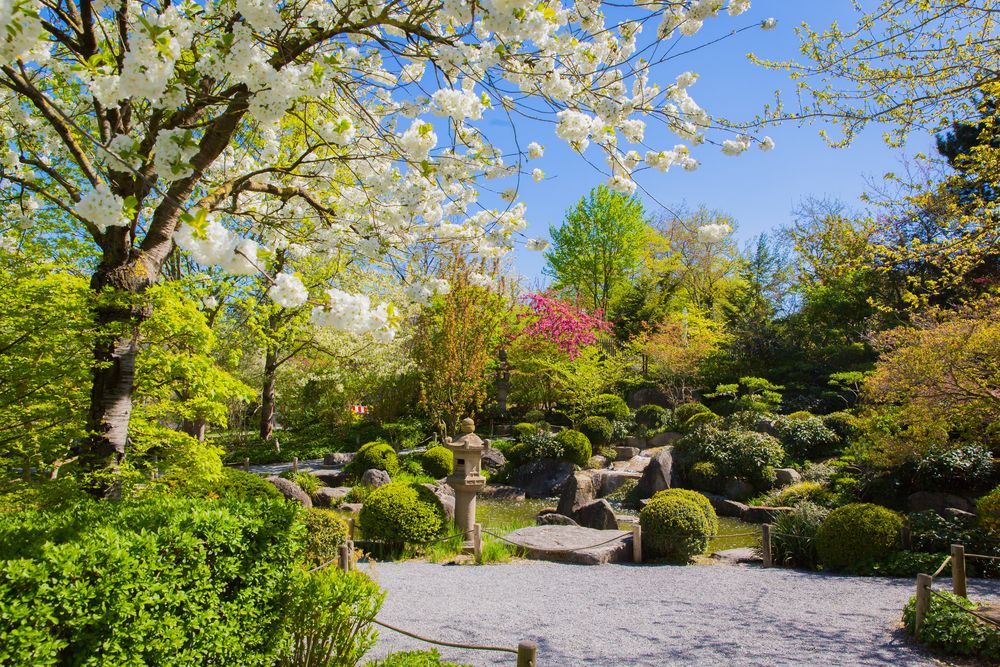 Japanischer Garten Würzburg