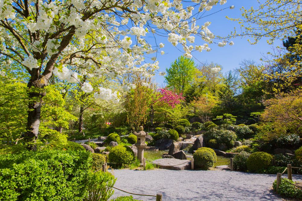 Japanischer Garten Würzburg Foto & Bild jahreszeiten, frühling, natur