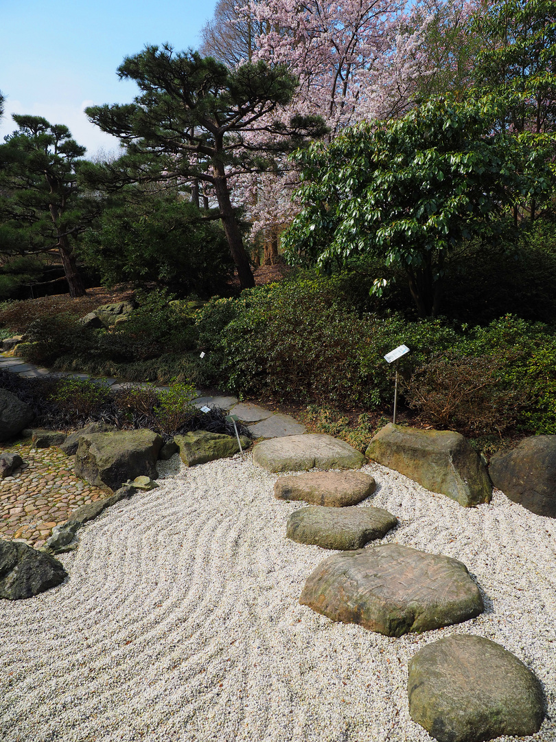 Japanischer Garten_2