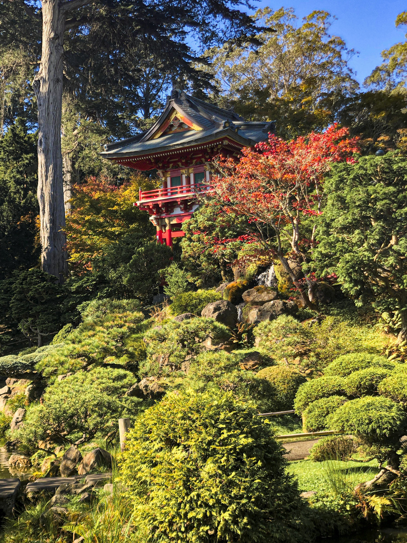 Japanischer Garten_San Francisco_2019