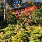 Japanischer Garten_San Francisco_2019