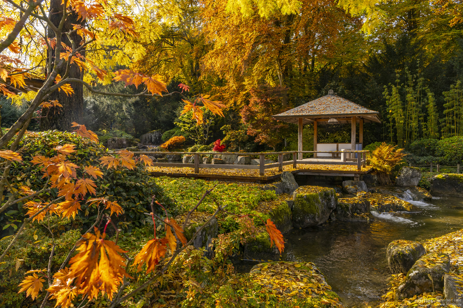 Japanischer Herbst