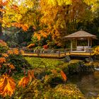 Japanischer Herbst