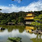 Japanischer Park mit Tempel