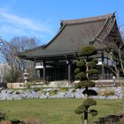 Japanischer Tempel 2