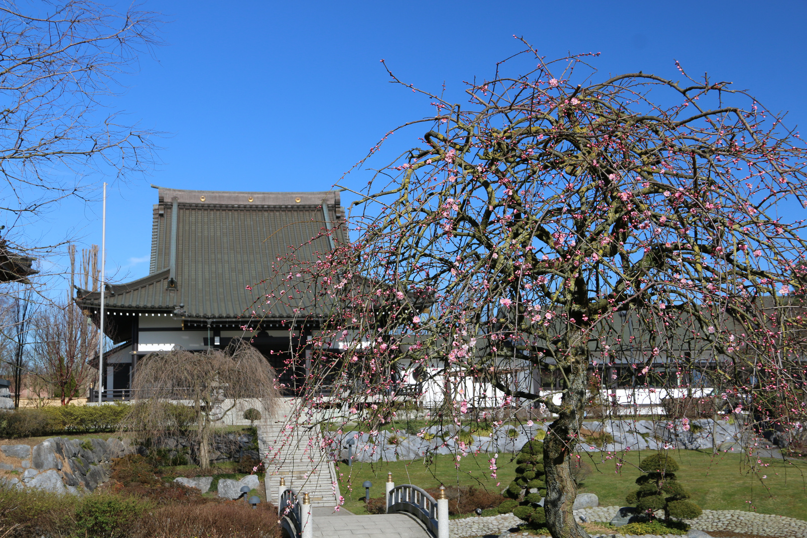 Japanischer Tempel 3