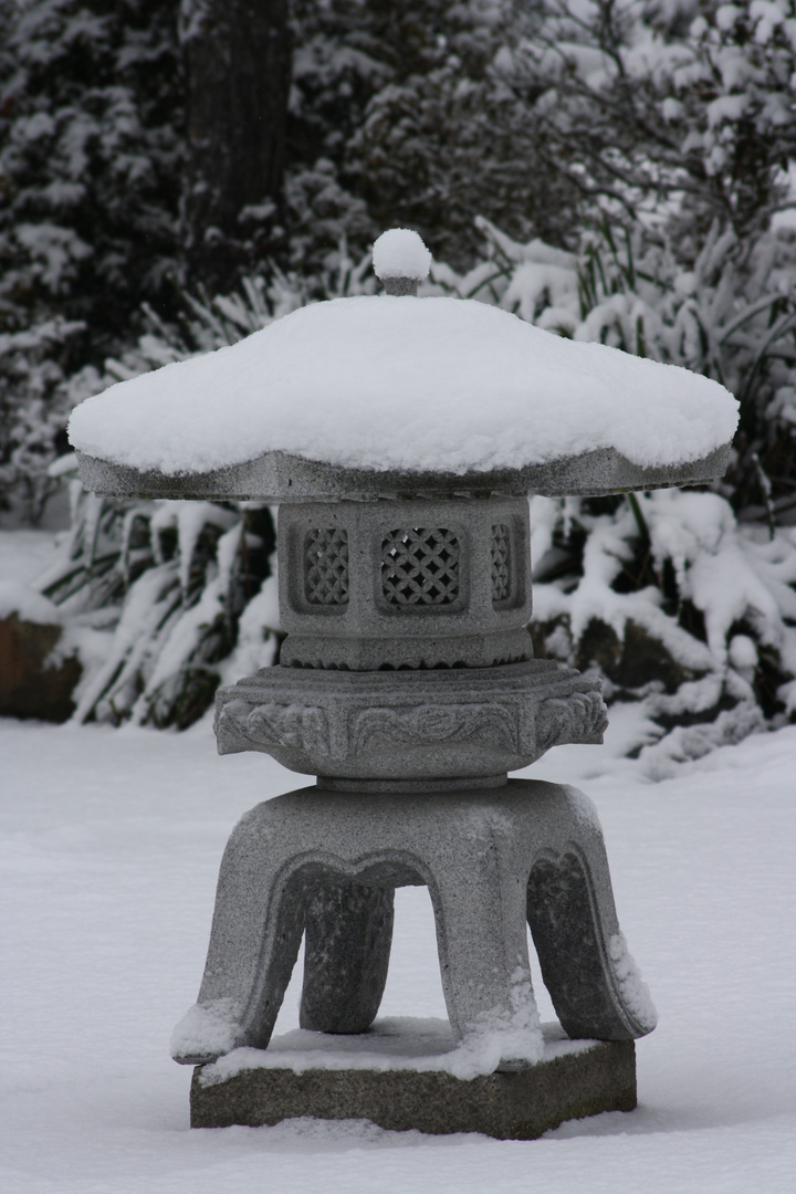 Japanischer winter