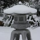 Japanischer winter