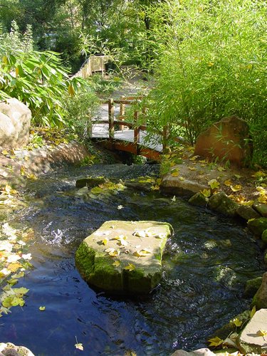 japanischerherbstgarten