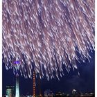 Japanisches Feuerwerk ´09