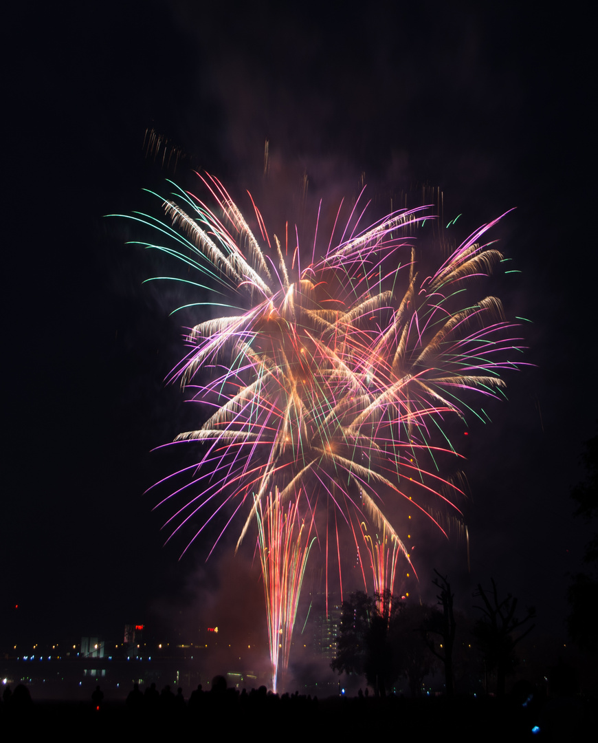 Japanisches Feuerwerk (1)