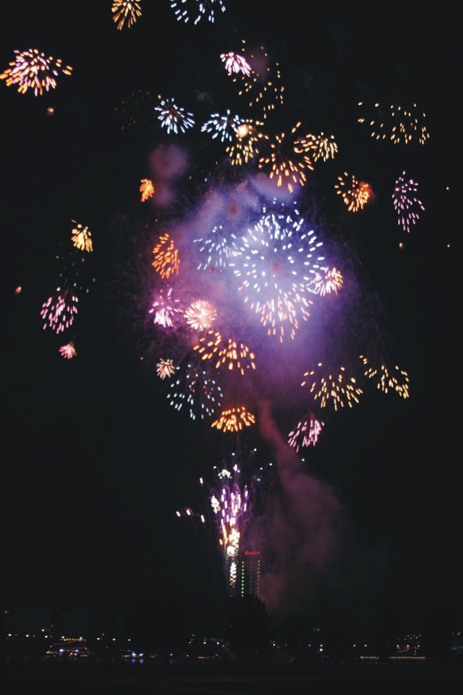 Japanisches Feuerwerk 2005 in Düsseldorf