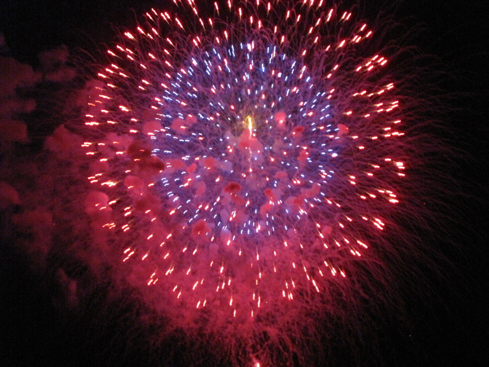 Japanisches Feuerwerk 2009