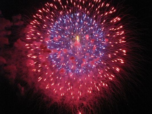 Japanisches Feuerwerk 2009