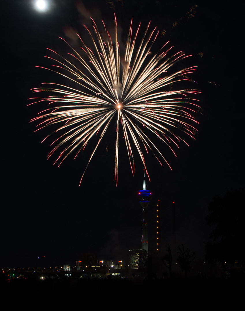 Japanisches Feuerwerk (3)