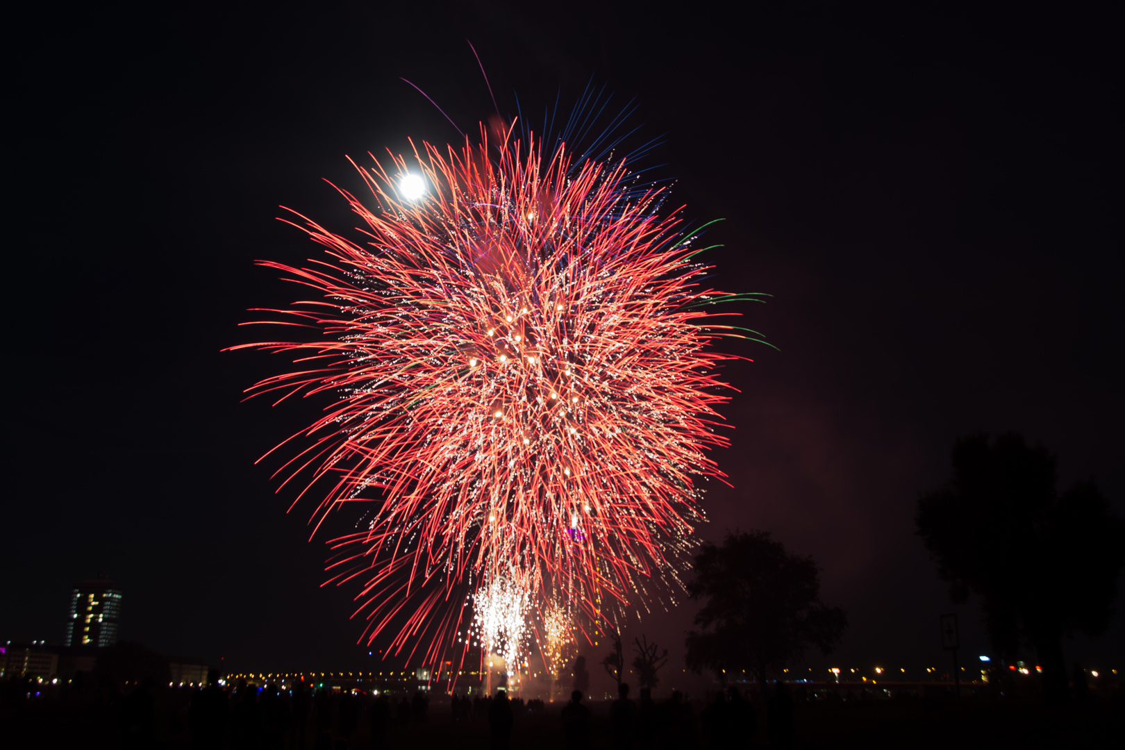 Japanisches Feuerwerk (4)