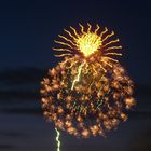 Japanisches Feuerwerk Düsseldorf 2008