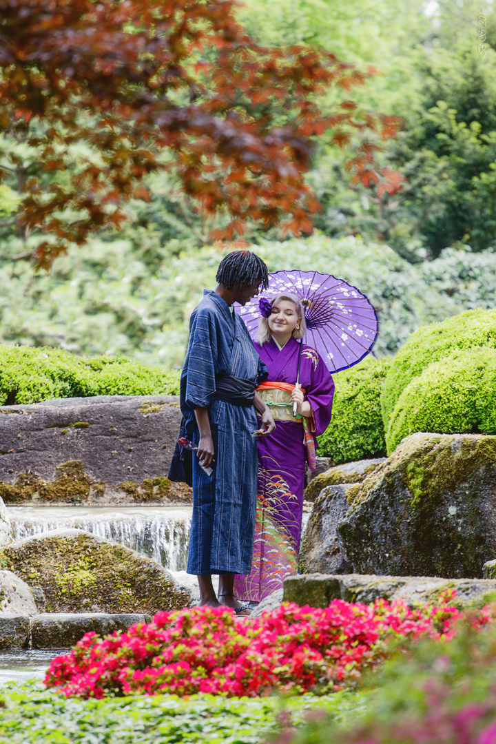 Japanisches Frühlingsfest Augsburg