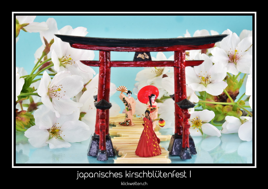 japanisches kirschblütenfest I