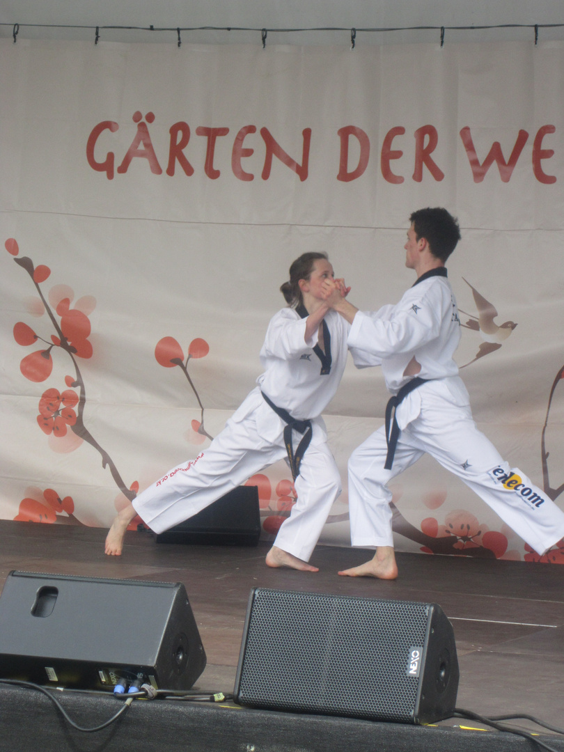 Japanisches Kirschblütenfest i. d. Gärten der Welt in Berlin