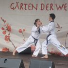 Japanisches Kirschblütenfest i. d. Gärten der Welt in Berlin