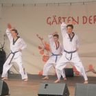 Japanisches Kirschblütenfest i. d. Gärten der Welt in Berlin