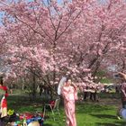 Japanisches Kirschblütenfest i. d. Gärten der Welt in Berlin