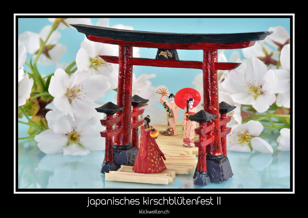 japanisches kirschblütenfest II