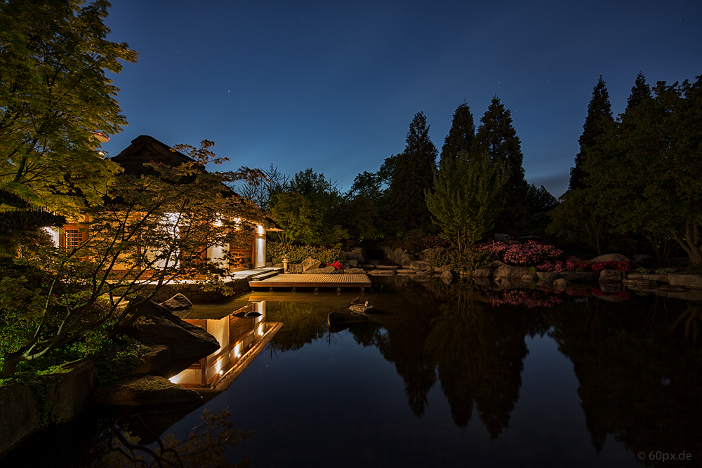 Japanisches Teehaus in Planten un Blomen II