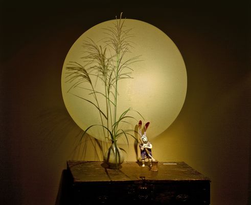 Japanisches Wanddesign mittels Lichtwerfer