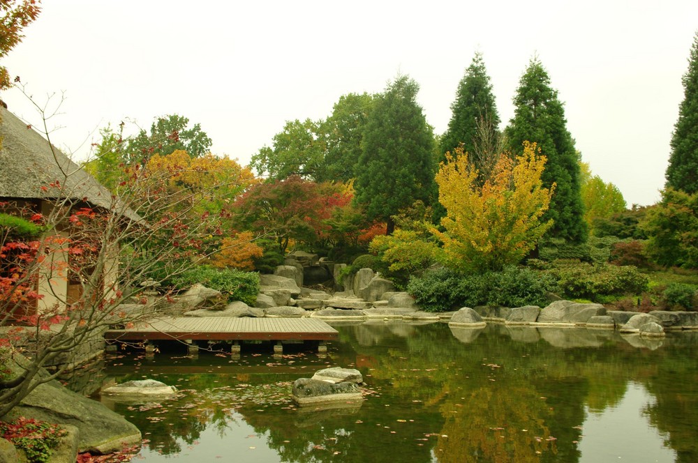 Japanise Garden