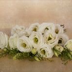 Japanrose - Lisianthus - Eustoma - Prärieenzian -