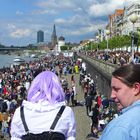 Japantag 2017 in Düsseldorf